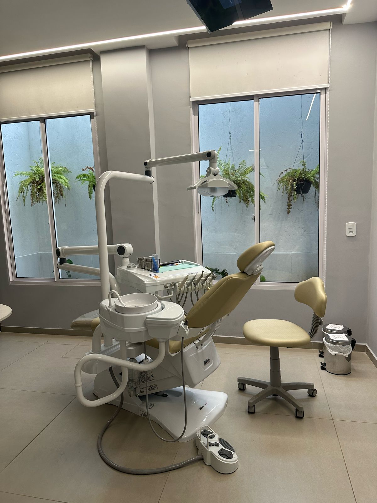 Odontologia