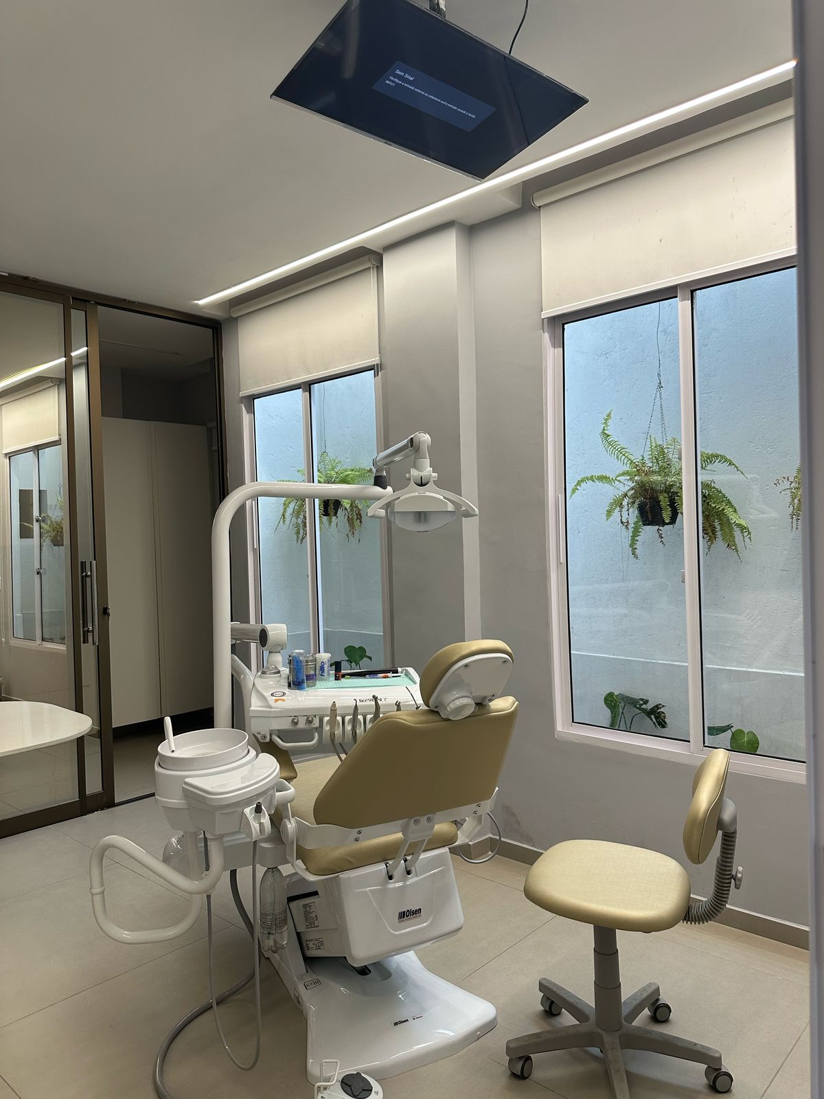 Odontologia